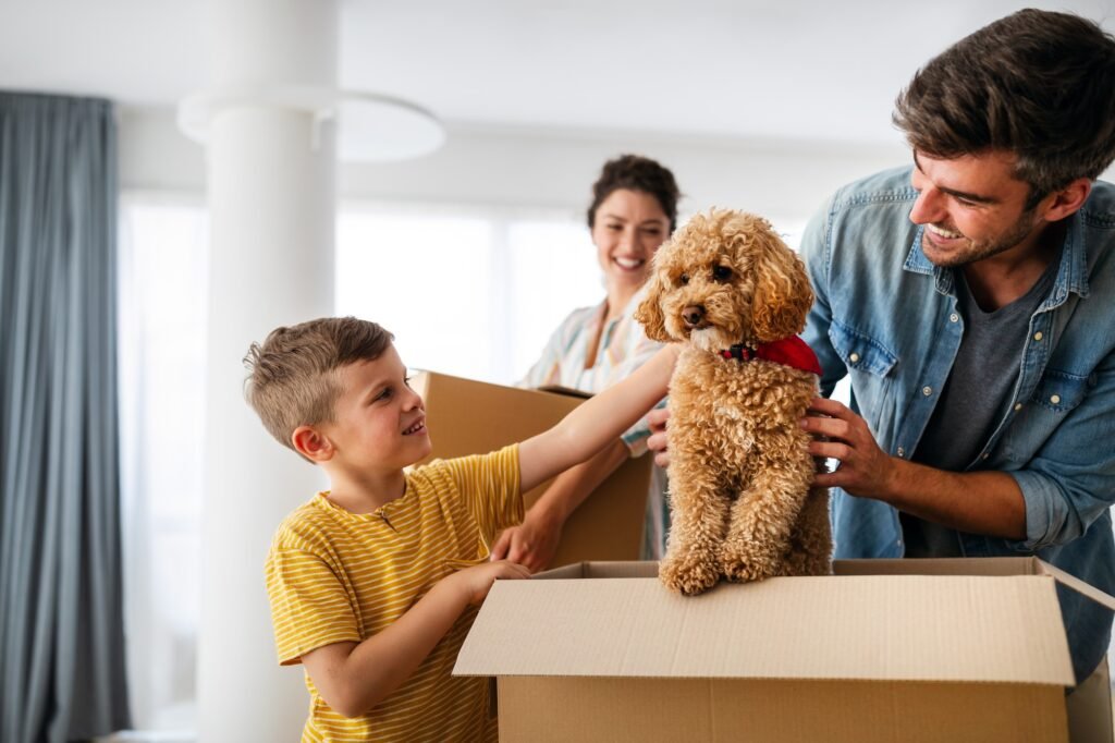 Caring for Your Pets During the Stress of Moving 1 pets moving