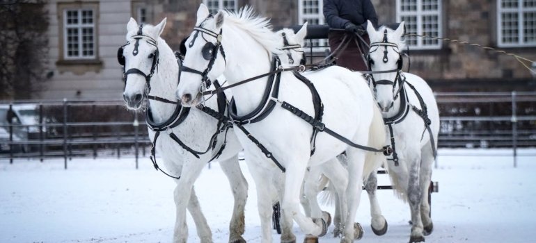 Family-Friendly Things to Do in Lebanon Ohio 4 horse carriage during winter