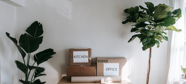 Moving from Ohio to Texas: How to Organize Your Move 3 Moving boxes labeled "Kitchen" and "Office" sit on a table beside lush potted plants in a bright, minimalistic room.