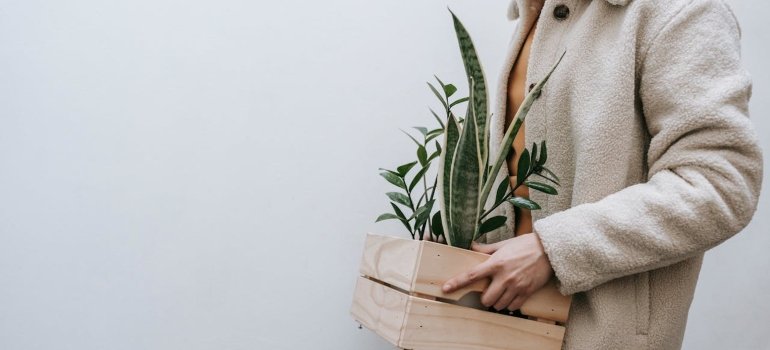 Smart Moving Hacks That Save Time and Stress 3 a woman carrying a plan and thinking how to make moving easier