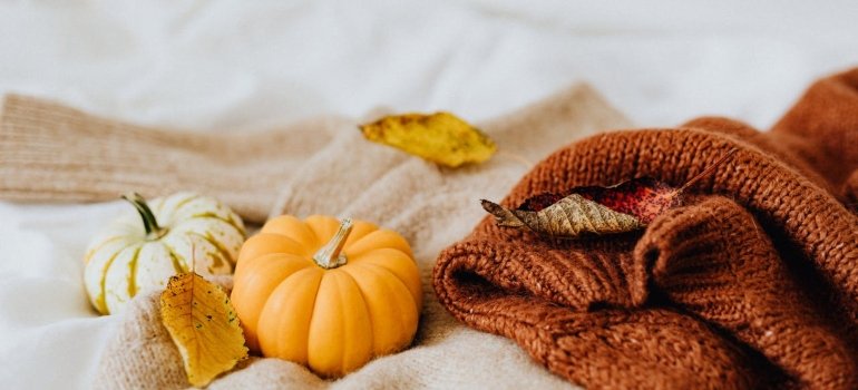 Best Getaways in Ohio for Every Season 3 Cozy fall scene featuring a soft sweater, orange and white pumpkins