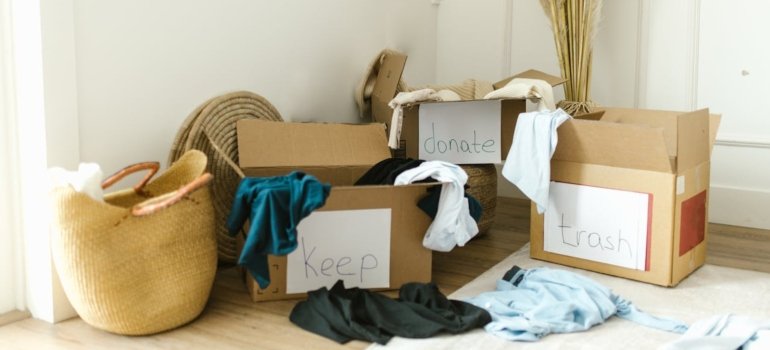 Smart Moving Hacks That Save Time and Stress 1 sorted boxes