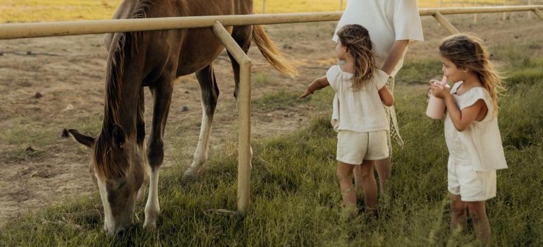Best Getaways in Ohio for Every Season 2 an idyllic scene with children and a horse
