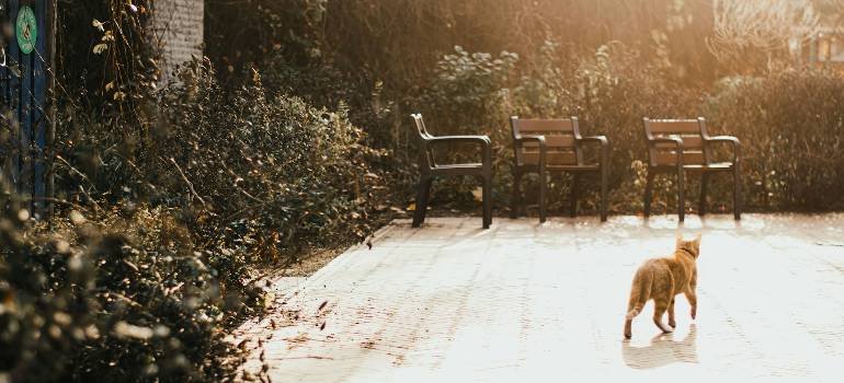 Actionable relocation guide to Hamilton Ohio 6 home of the people who need relocation guide to Hamilton Ohio