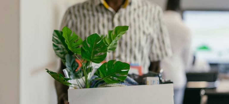 Essential corporate relocation guide for Fairfield OH companies 5 Staff member carrying box with office plant