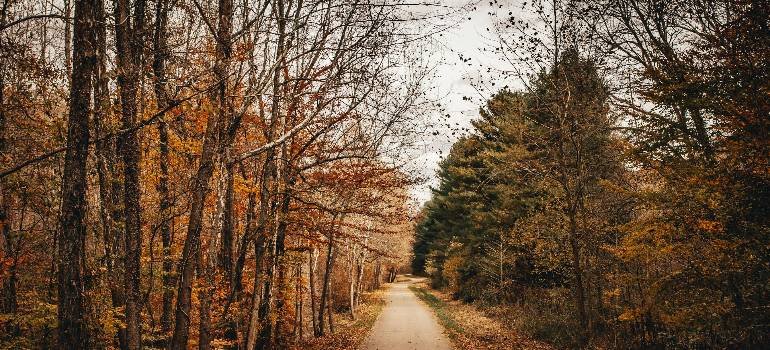 Tips for moving economically from Hamilton to West Chester 3 Walking trail near Hamilton and West Chester homes